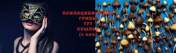 mdpv Абаза