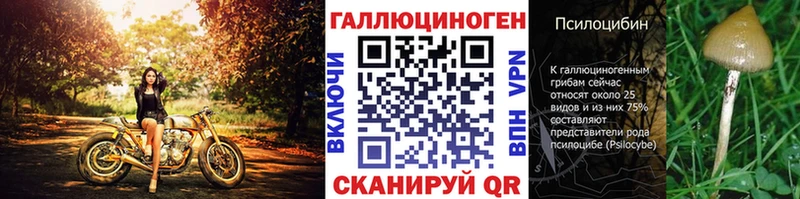 Псилоцибиновые грибы Psilocybe Краснодар